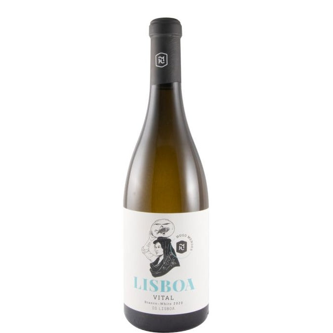 Hugo Mendes Lisboa Vital Branco 2020