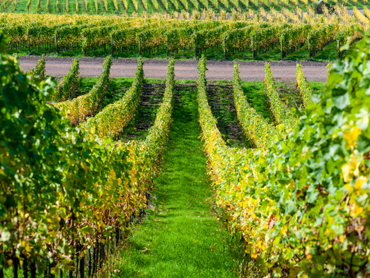 A região de Mosel
