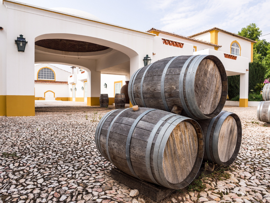 A história do vinho em Portugal