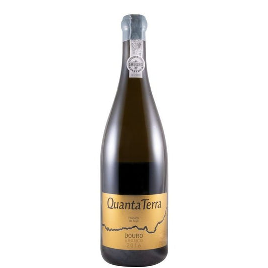 Quanta Terra Gold Edition White 2016
